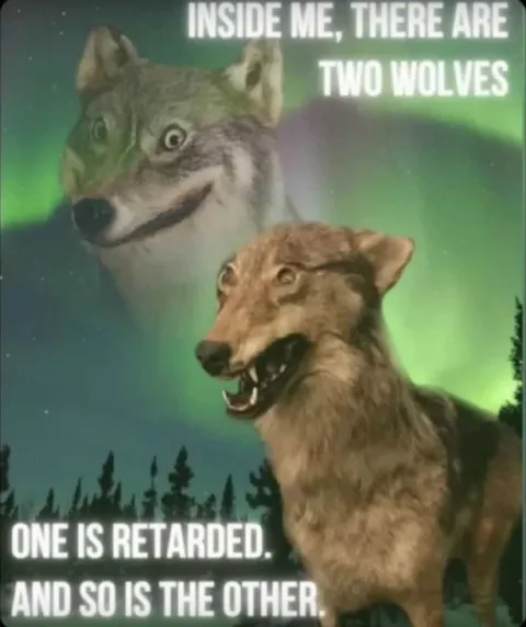 Two Wolves Inside Me