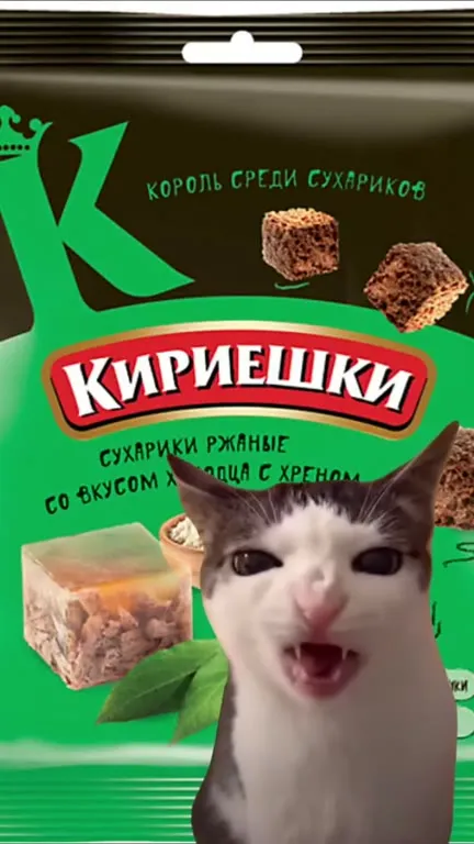 Кот хрустит сухариками