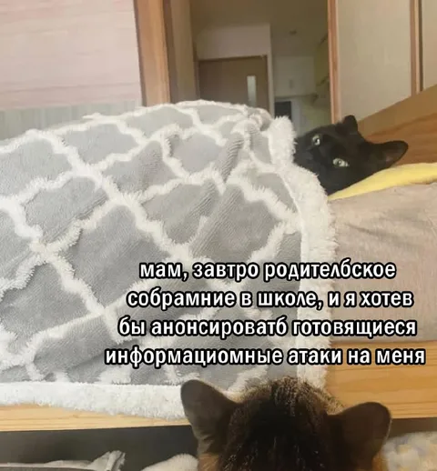 Кот готовится к родительскому собранию