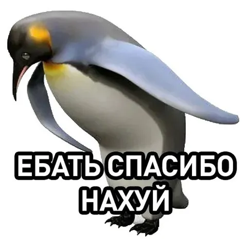 Ебать спасибо нахуй