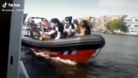 毛绒玩偶冲向水面