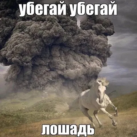 Убегай убегай лошадь