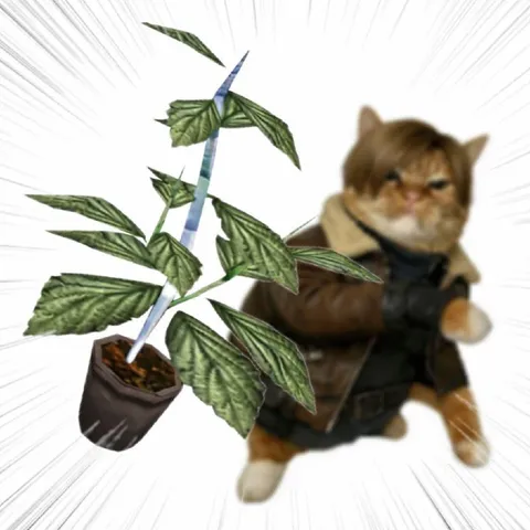 Сердитый кот с растением