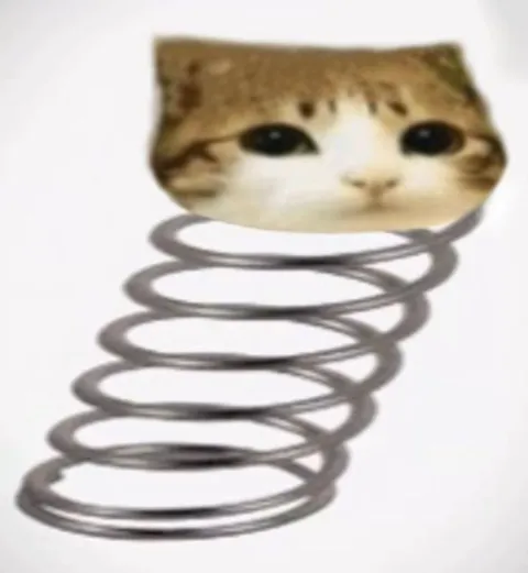 Кот на пружине