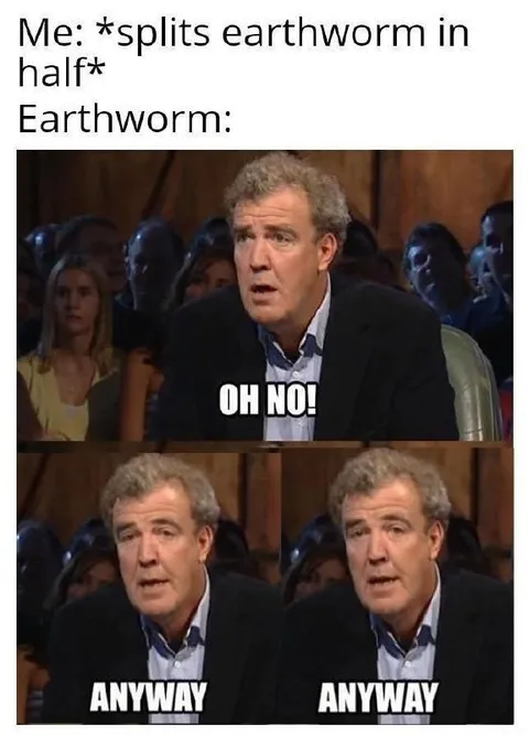 Earthworm Oh No Anyway