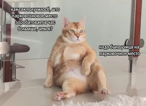 Парковочное место зарабатывает больше