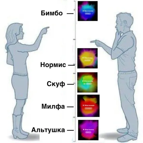 Бимбо, нормис, скуф и милфа