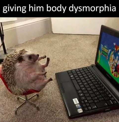 Hedgehog Watching Sonic
