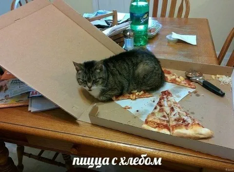Пицца с хлебом