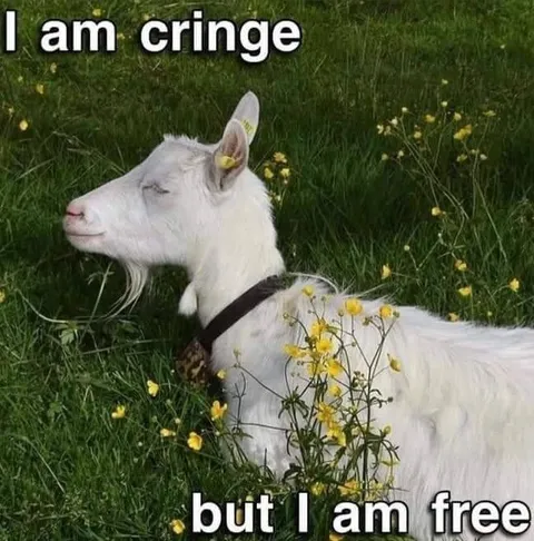 I Am Cringe but I Am Free
