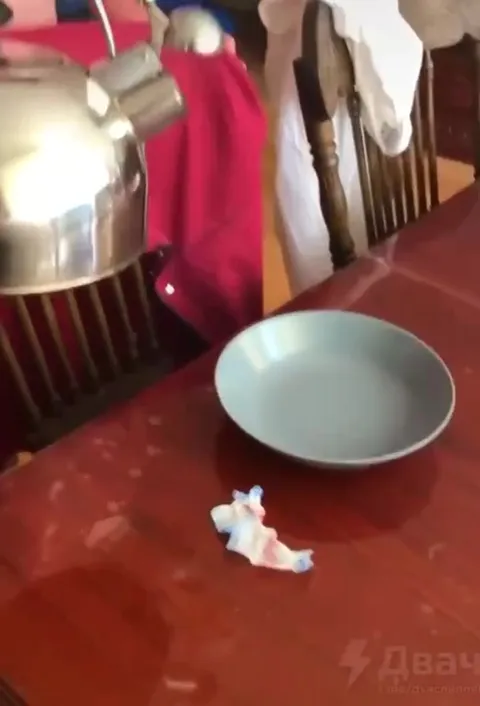 Чайник кормит пустой стул