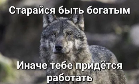 Волк советует быть богатым