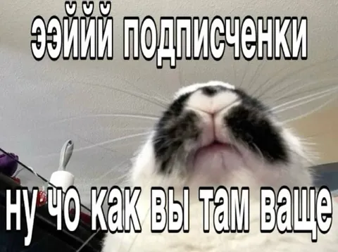 Ээйй подписенки ну чо