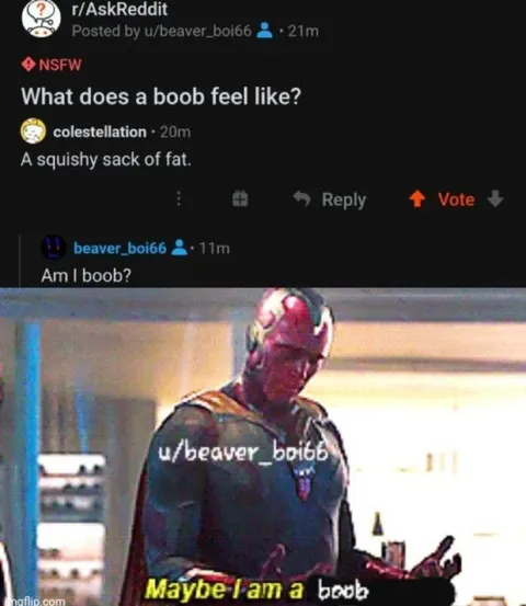 Vision Thinks He Is a Boob