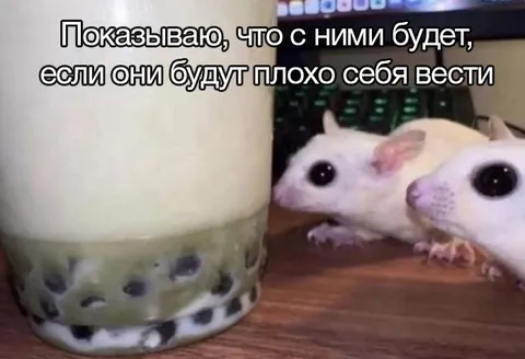 Показываю, что с ними будет