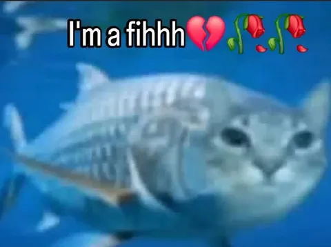 I'm a fihhh