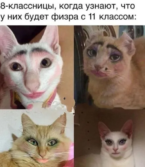 Восьмиклассницы узнали про физру