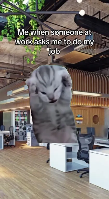 Cat Refuses to Do Its Job
