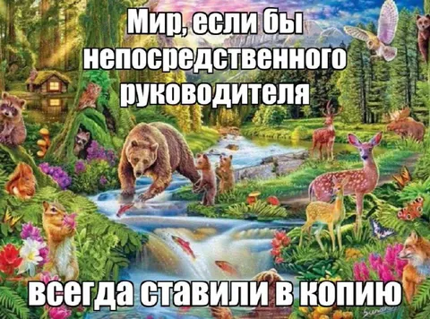 Мир непосредственного руководителя