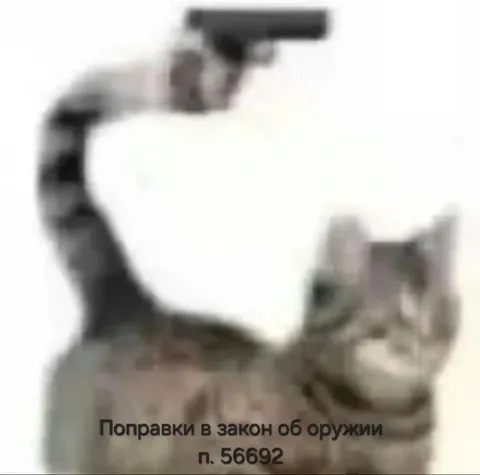 Поправки в закон об оружии