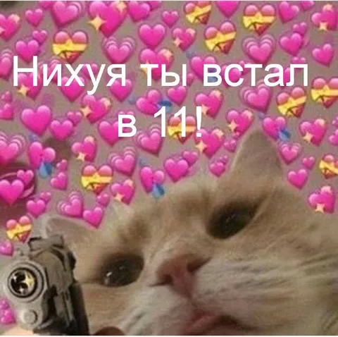 Нихуя ты встал в 11