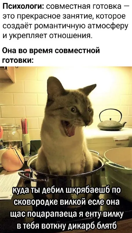 Кот в кастрюле с вилкой