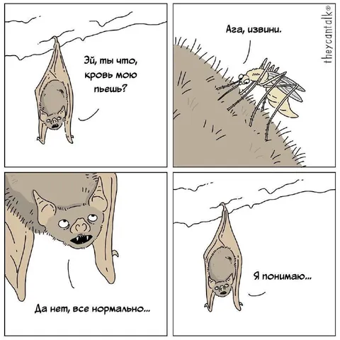 Летучая мышь и комар