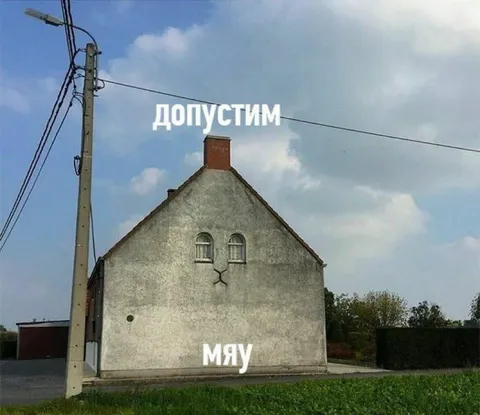 Дом, который говорит «мяу»
