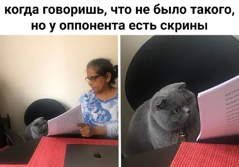 У оппонента есть скрины