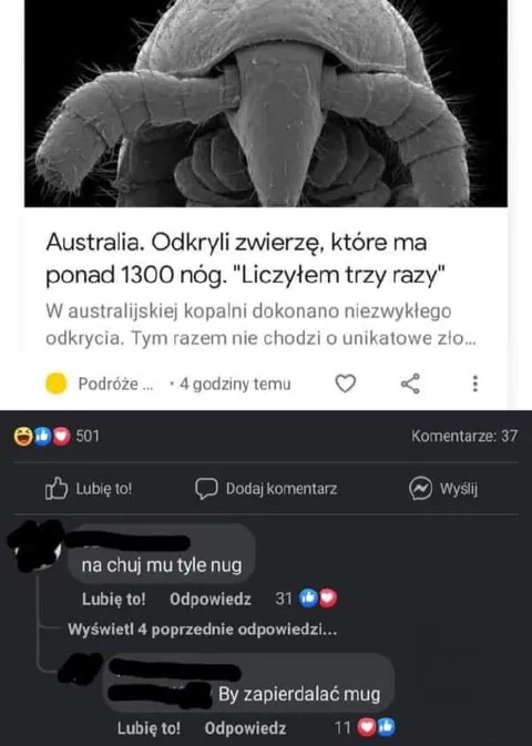 Australia i zwierzę z 1300 nogami