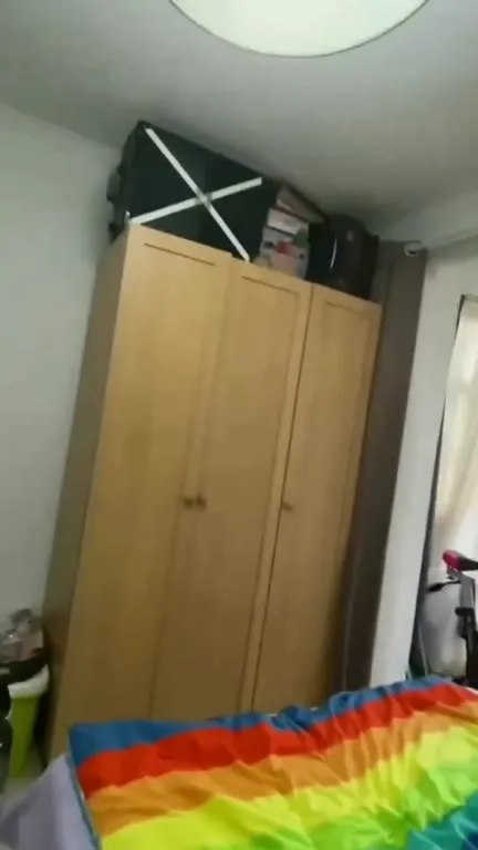 Кот прыгает с шкафа