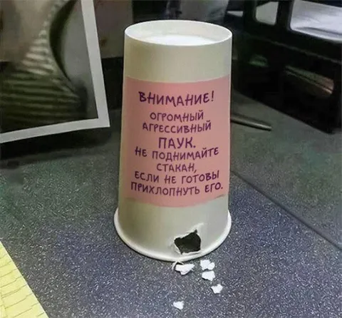 Огромный агрессивный паук