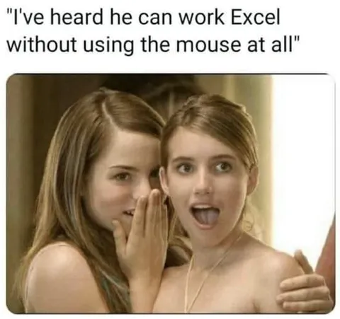 Excel Without a Mouse