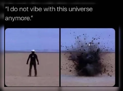 I Do Not Vibe With This Universe