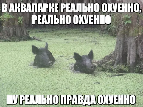Реально охуенно в аквапарке