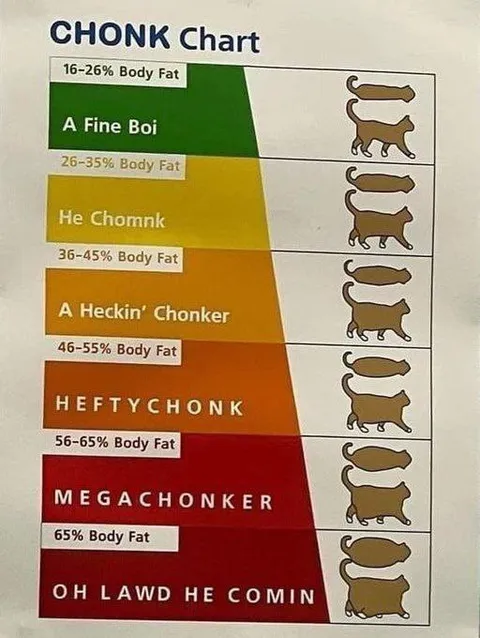 Chonk Chart Cat Body Fat