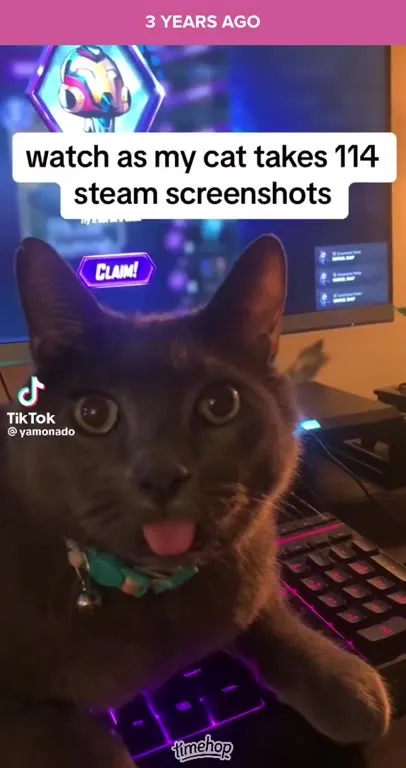 Cat Takes 114 Steam Screenshots