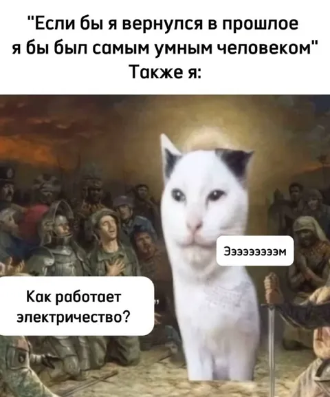 Кот вернулся в прошлое