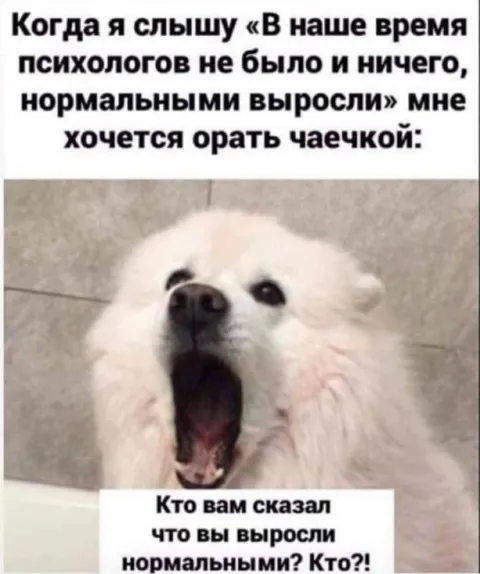 Орать чаечкой на психологов