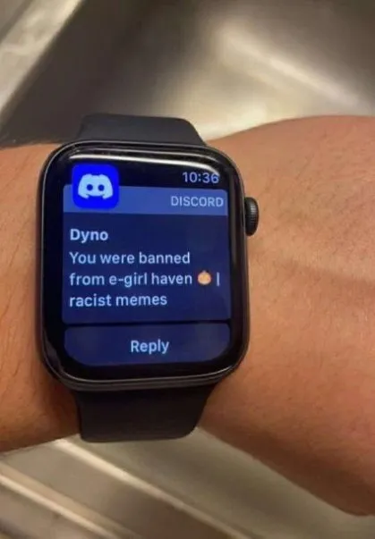 Banned From E-Girl Haven