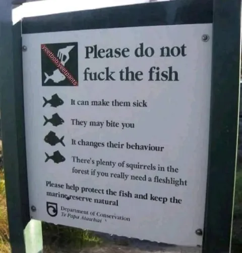 Please Do Not Fuck the Fish