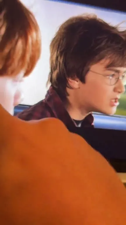 Harry and Ron Fly Off the Rails