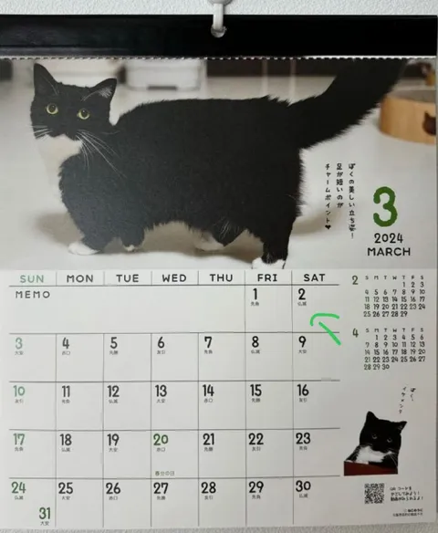 足が短い黒猫カレンダー