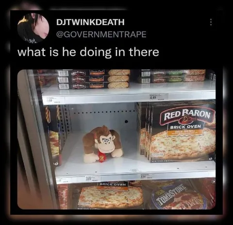 Donkey Kong in the Freezer
