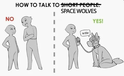How to Talk to Space Wolves