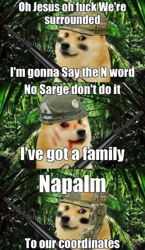 Doge Calls Napalm Strike