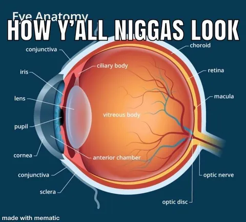 How Y'all Niggas Look