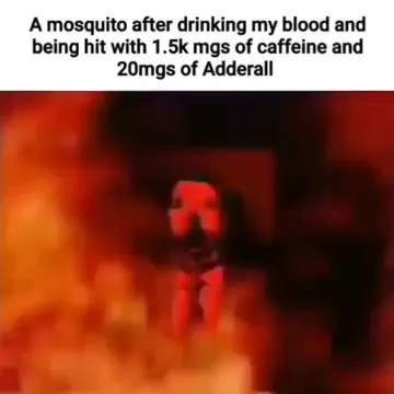 Mosquito on Caffeine and Adderall