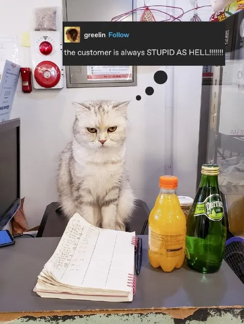 The Customer Is Stupid as Hell