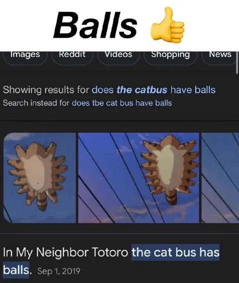 Catbus Has Balls